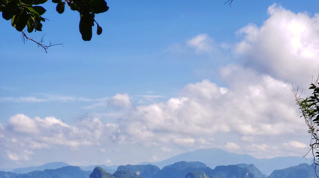 One of the many beautiful lookouts on the Dragon Crest Trail. A 3.7km walk on sandy, muddy, rocky and tree roots! Literally a walk through the jungle!
#nature #hiking