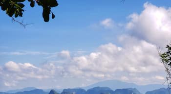 One of the many beautiful lookouts on the Dragon Crest Trail. A 3.7km walk on sandy, muddy, rocky and tree roots! Literally a walk through the jungle!
#nature #hiking