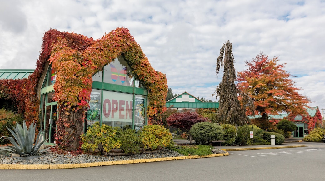 维多利亚蝴蝶花园