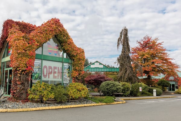 Victoria_VictoriaButterflyGardens_6215375