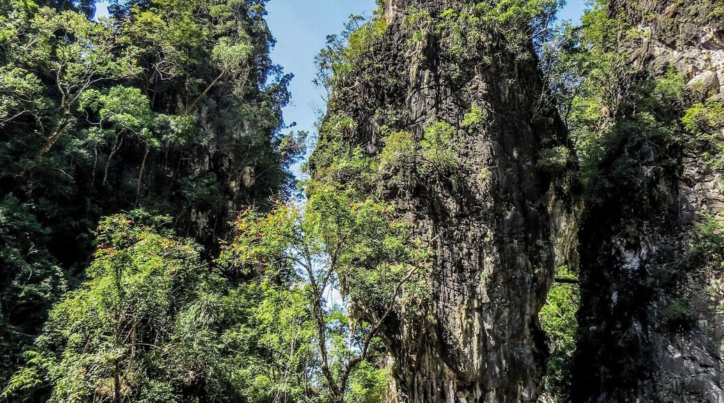 Ao Thalane, near Krabi, Thailand. This a cool place to paddle across the bay and get into the mangrove forest.