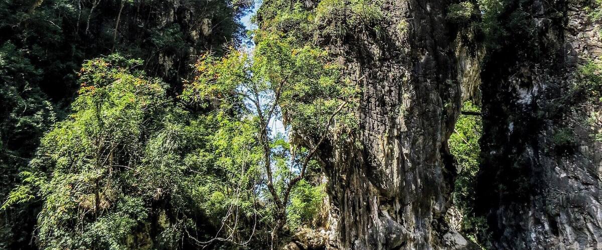 Ao Thalane, near Krabi, Thailand. This a cool place to paddle across the bay and get into the mangrove forest.