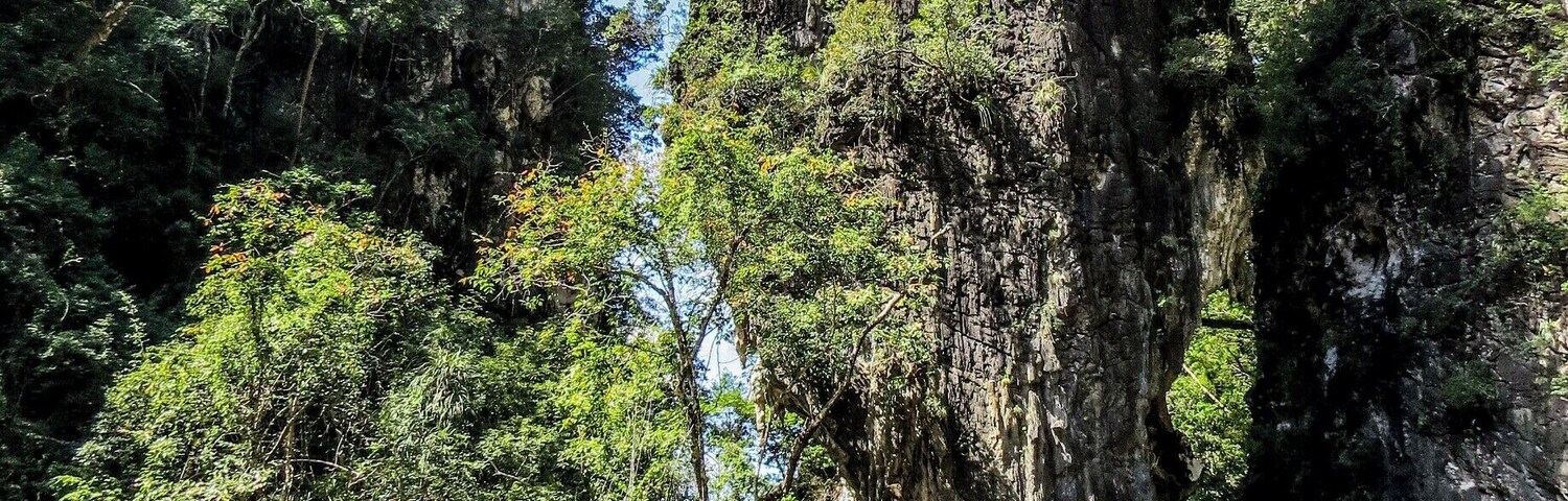 Ao Thalane, near Krabi, Thailand. This a cool place to paddle across the bay and get into the mangrove forest.