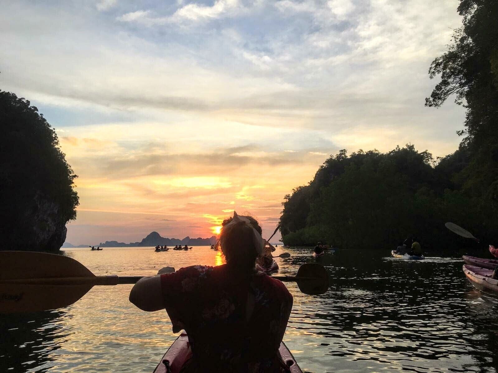 One of the most amazing experiences. Kayaking through the mangrove forest at sunset 