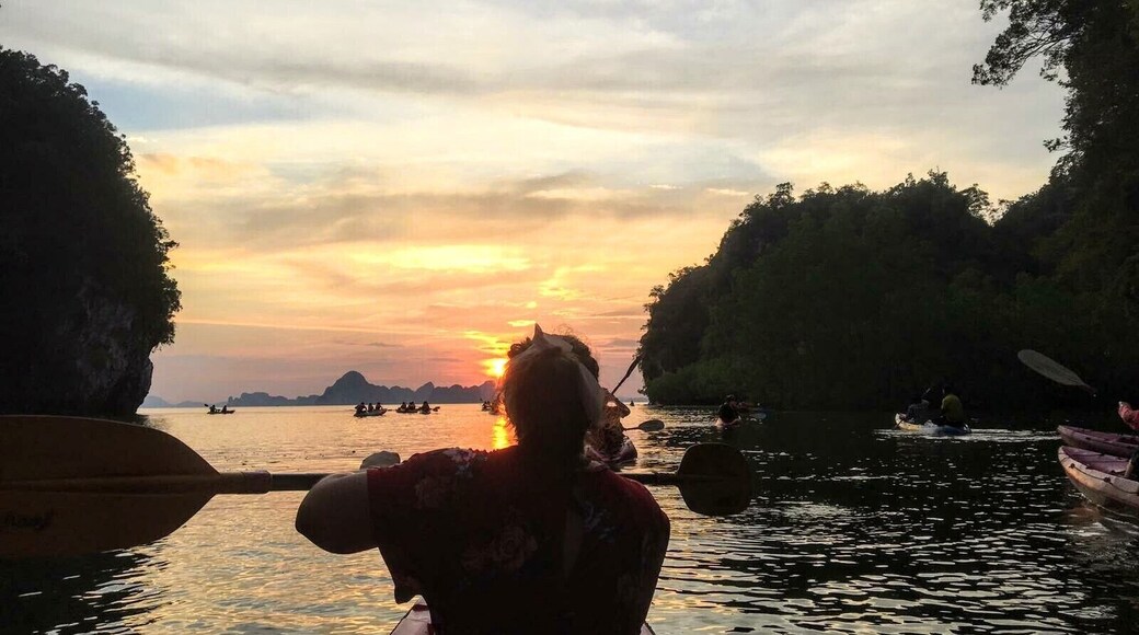 One of the most amazing experiences. Kayaking through the mangrove forest at sunset