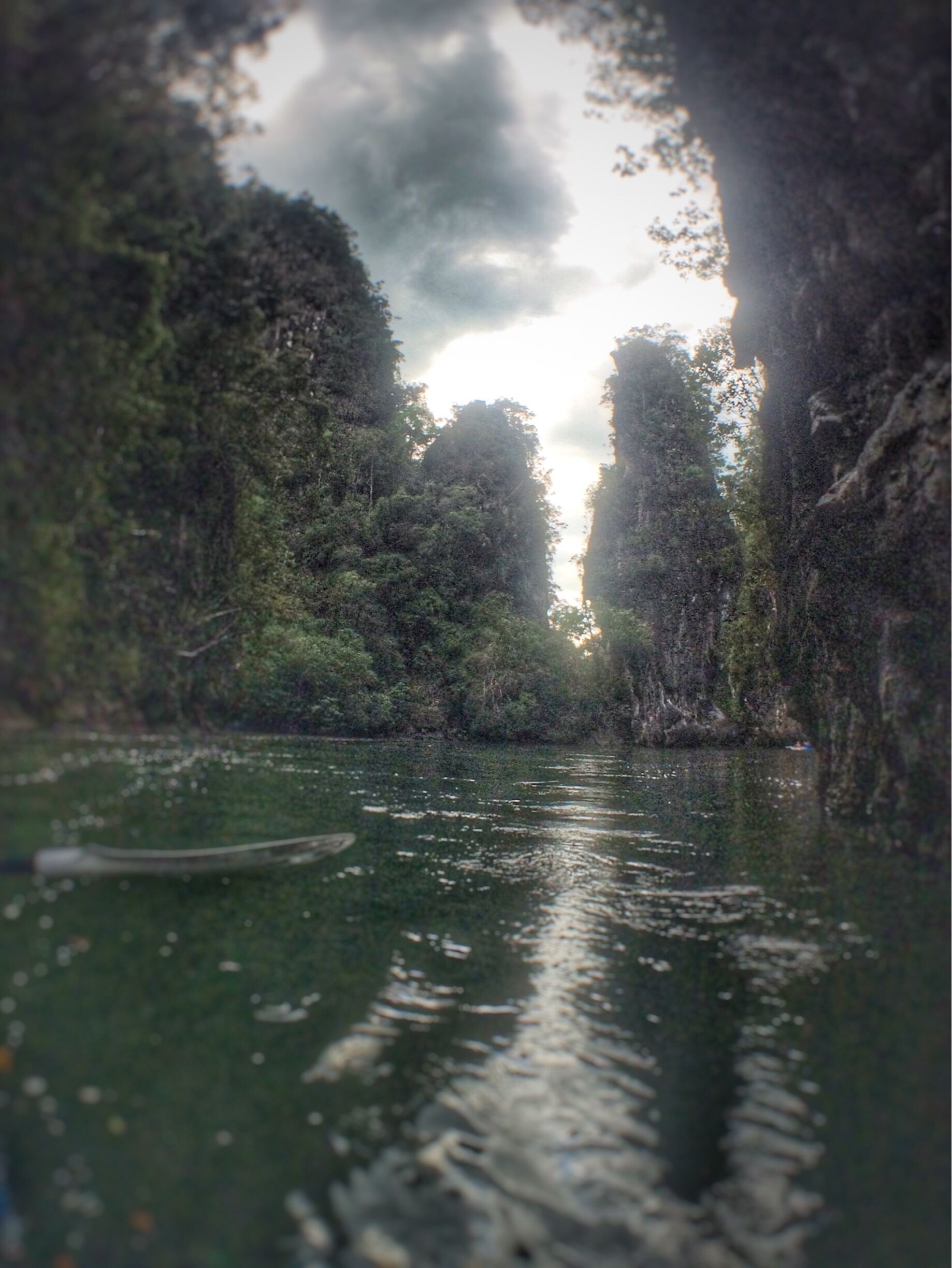 A kayak through Ao Thalane, peaceful bliss of the untamed. One single monkey greets our path with a ferocious grin, separated from the pack, a jump and a splash. I didn't know how they can swim behavior like a jungle gym. King fishers, monitors, mangroves galore a 1/2 day trip leaves you wanting more.

