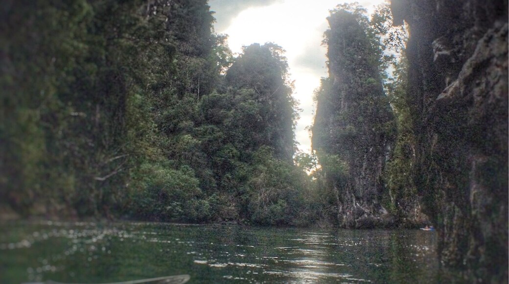 A kayak through Ao Thalane, peaceful bliss of the untamed. One single monkey greets our path with a ferocious grin, separated from the pack, a jump and a splash. I didn't know how they can swim behavior like a jungle gym. King fishers, monitors, mangroves galore a 1/2 day trip leaves you wanting more.