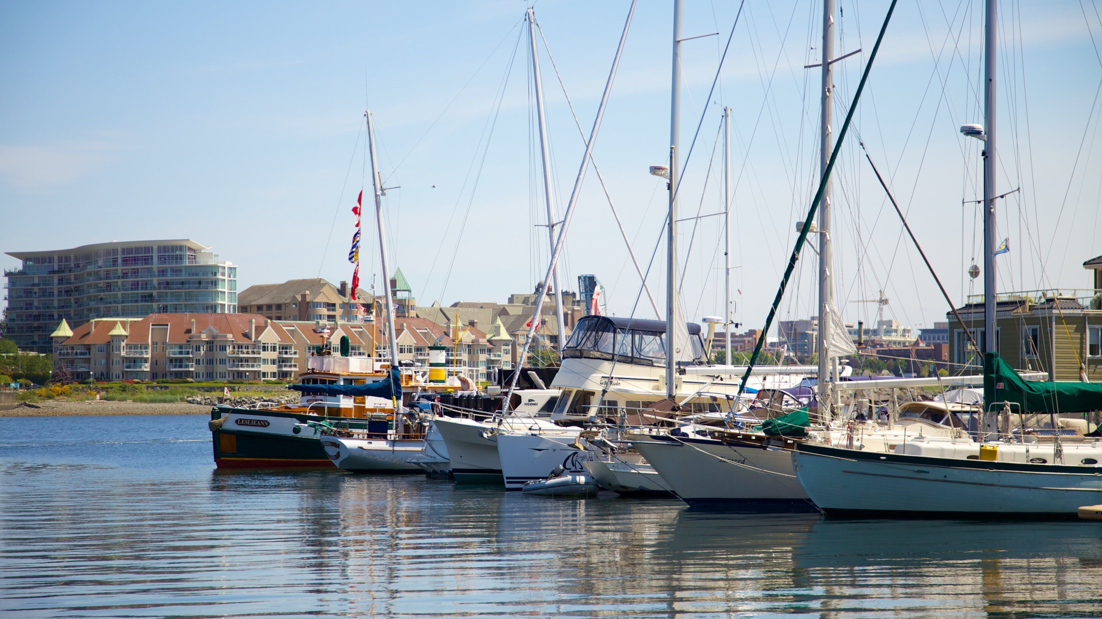 Victoria Fisherman\'s Wharf showing a marina and a coastal town