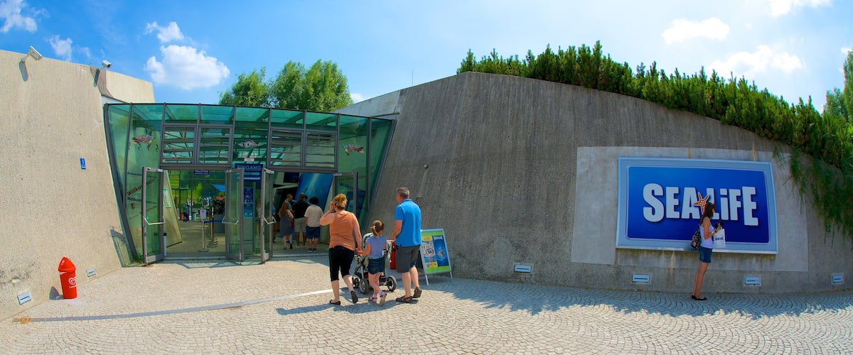Acuario Sea Life mostrando vida marina y señalización y también una familia