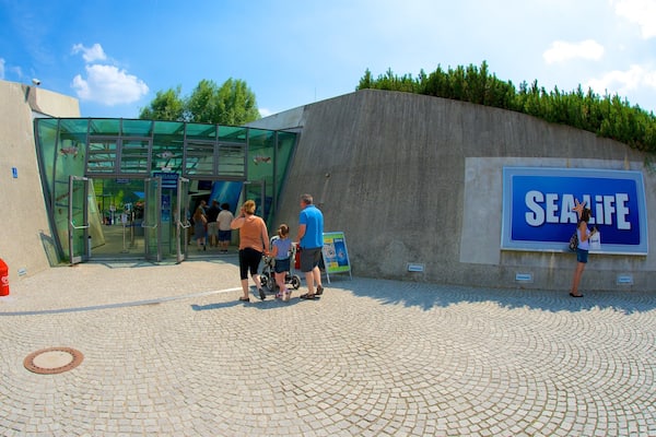 Sea Life Aquarium das einen Meeresbewohner und Beschilderung sowie Familie