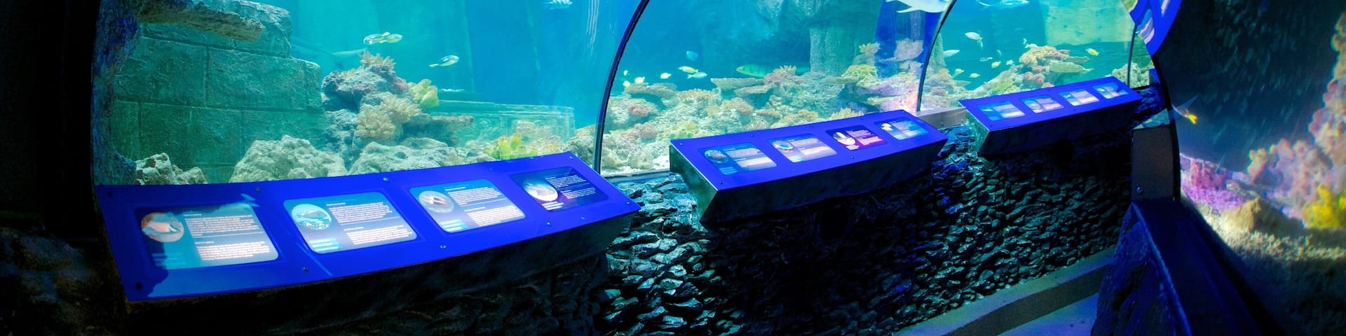 Sea Life Aquarium which includes marine life and interior views