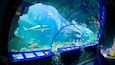 海洋生物水族館 设有 海洋生物 和 內部景觀