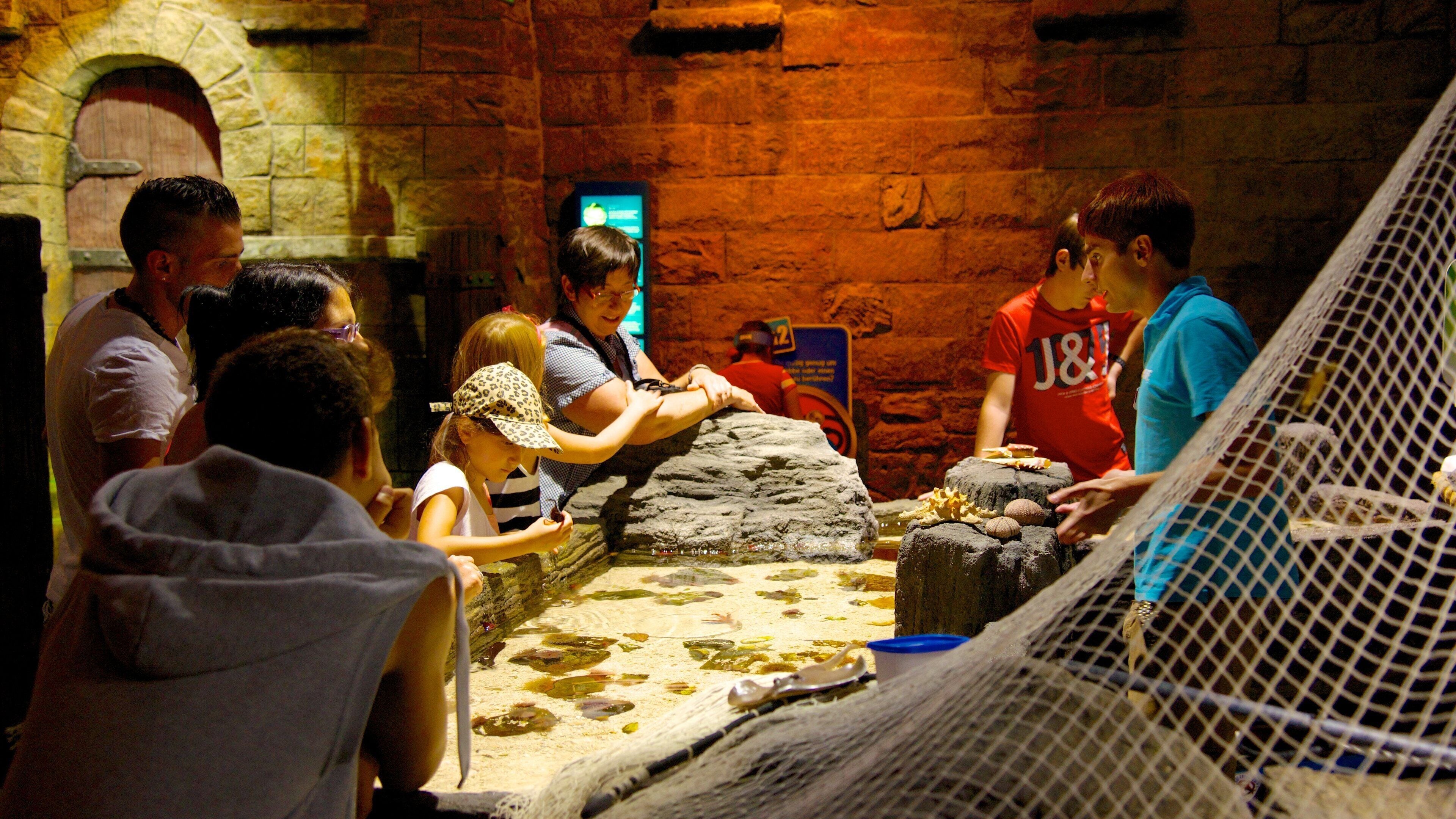 Sea Life Aquarium presenterar interiörer och havsdjur såväl som en liten grupp av människor