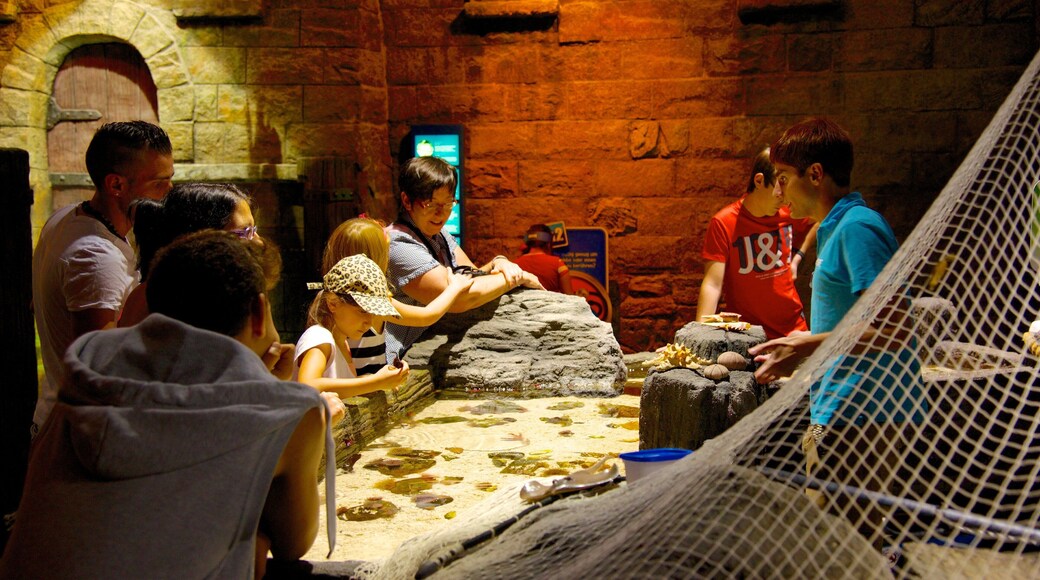 Sea Life Aquarium presenterar interiörer och havsdjur såväl som en liten grupp av människor