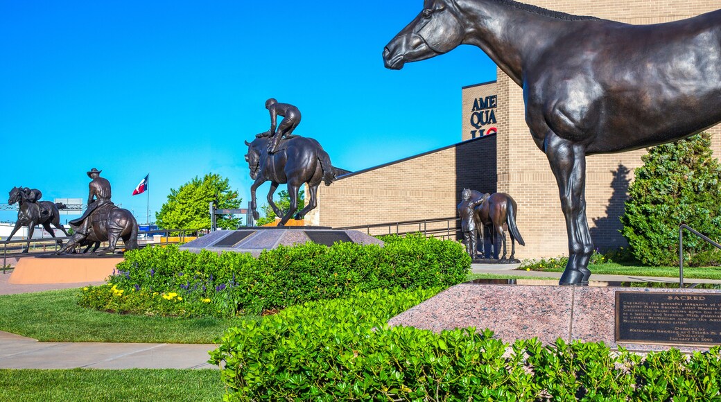 American Quarter Horse Association