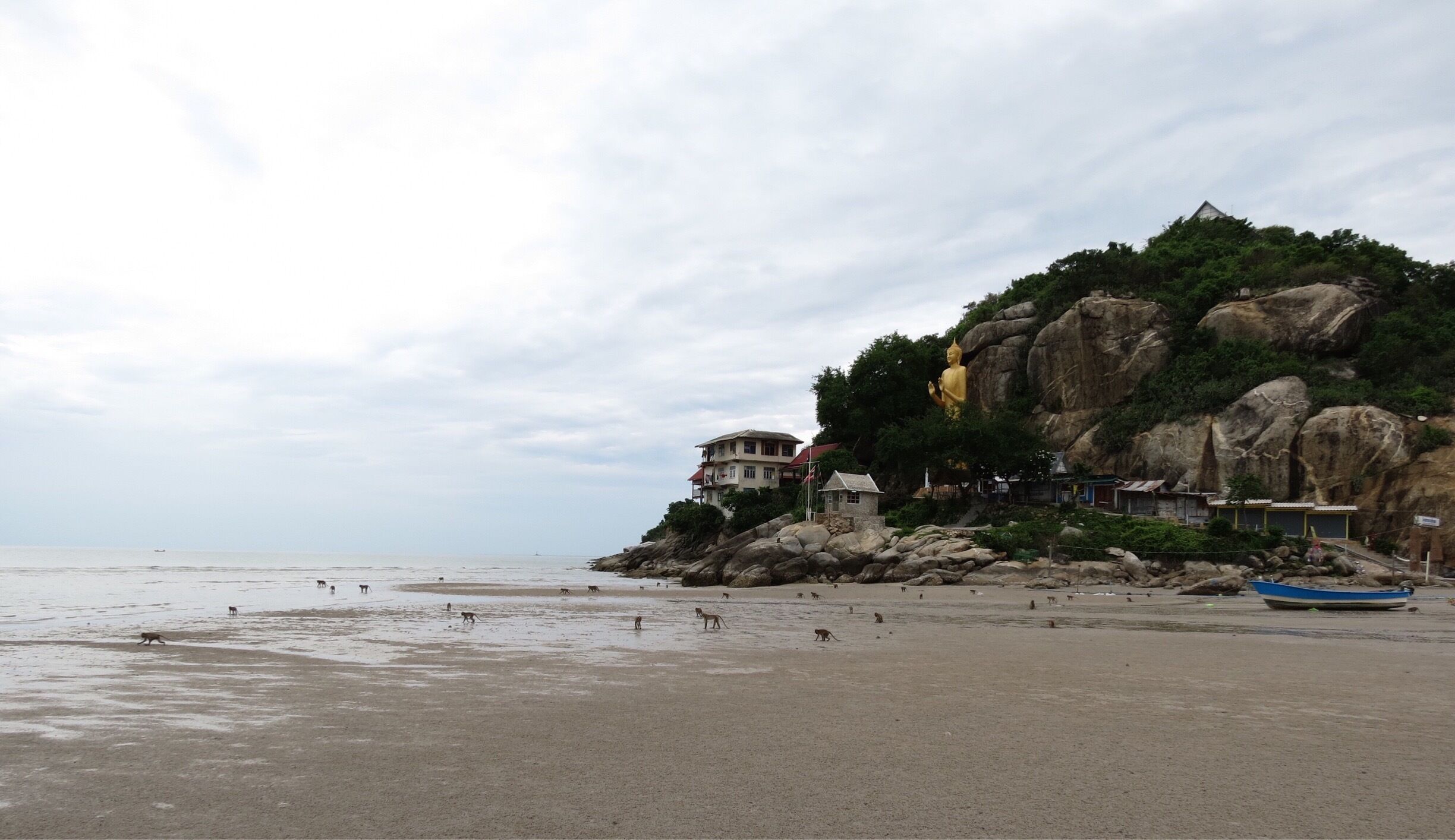 Spot monkeys at monkey mountain in Hua Hin, Thailand.