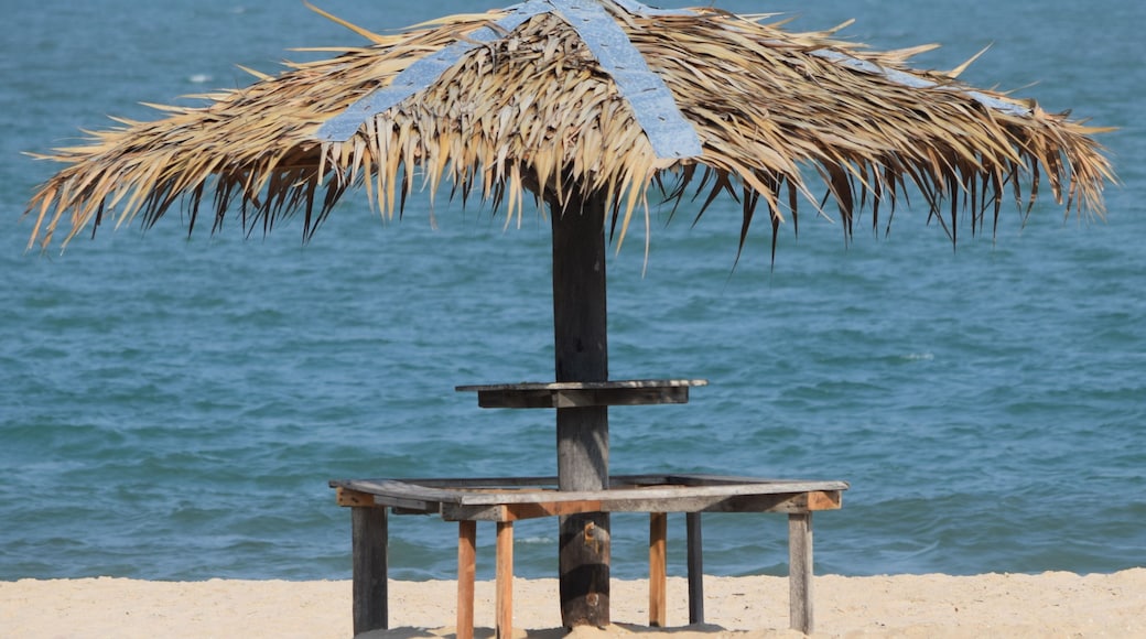 Ett strandparasoll med ett halmtak och en träbänk.