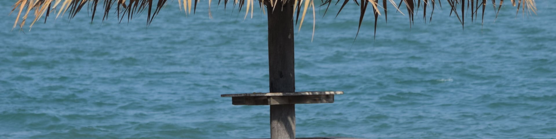 Una sombrilla de playa con techo de paja y un banco de madera.