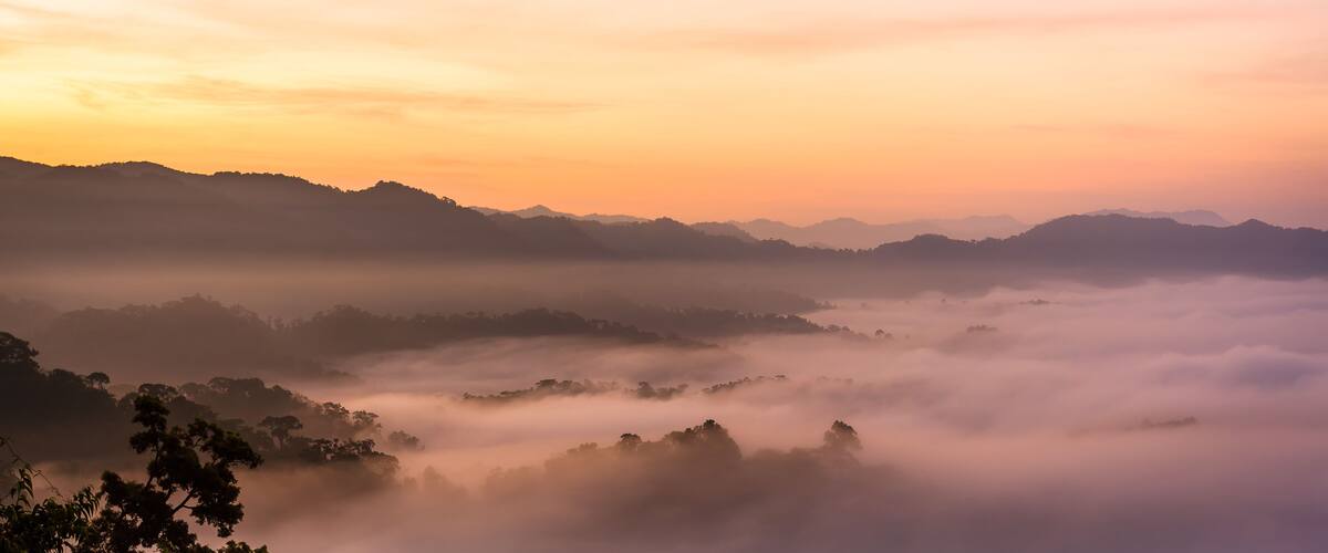 A misty mountain landscape at sunrise.