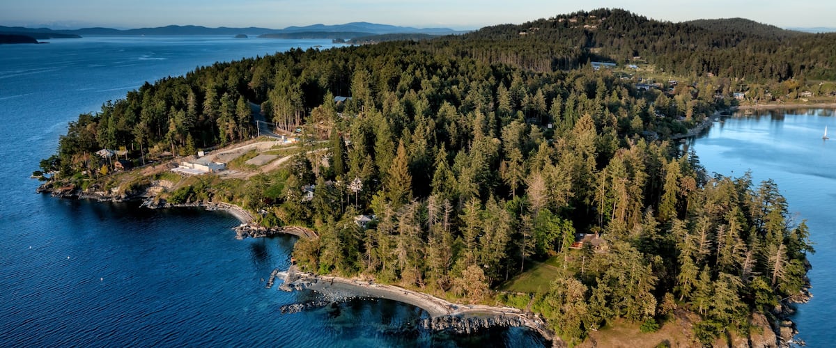 An aerial view of a forested island surrounded by water, with clear skies and distant mountains.