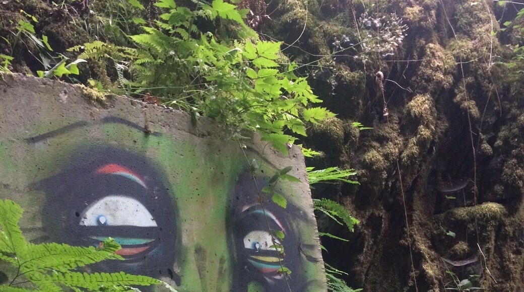 Beautiful little watering hole has a creepy green critter watching you.