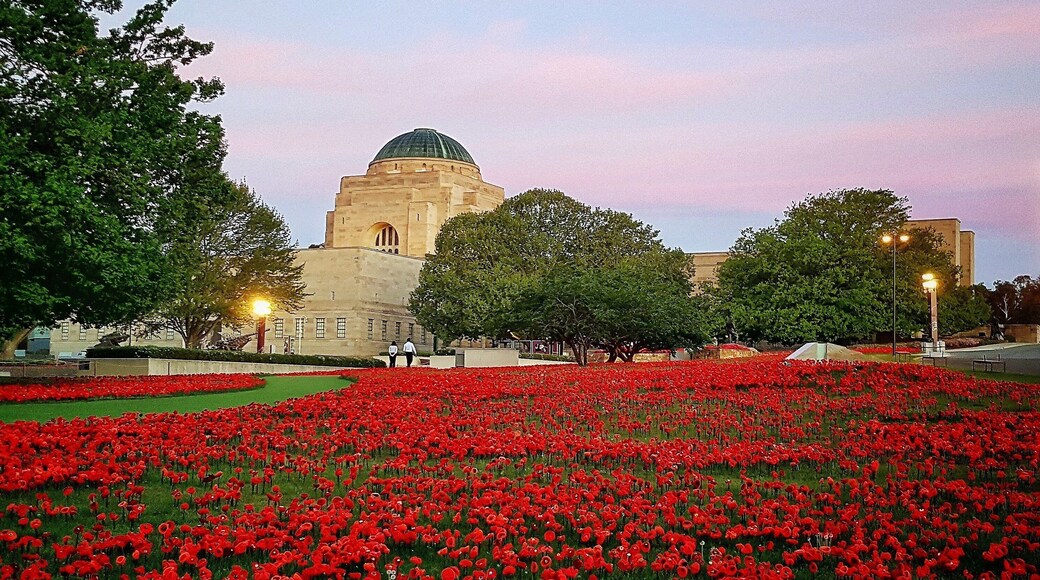 62,000 poppies representing those Australians who lost their lives in WW1
