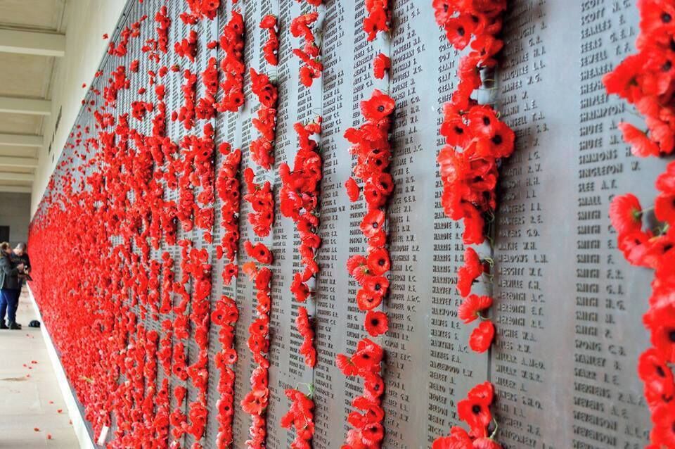 The Roll of Honour.  ANZAC Day 2015.  Each poppy is from loved ones who has loved and lost a soldier.  