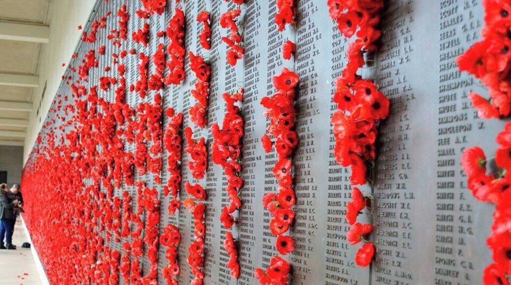The Roll of Honour. ANZAC Day 2015. Each poppy is from loved ones who has loved and lost a soldier.