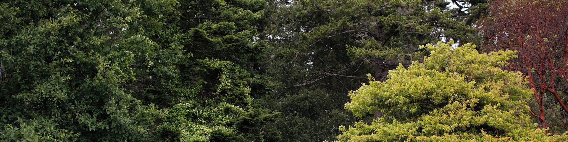 EyeEm Custom Shoots Q4 2018