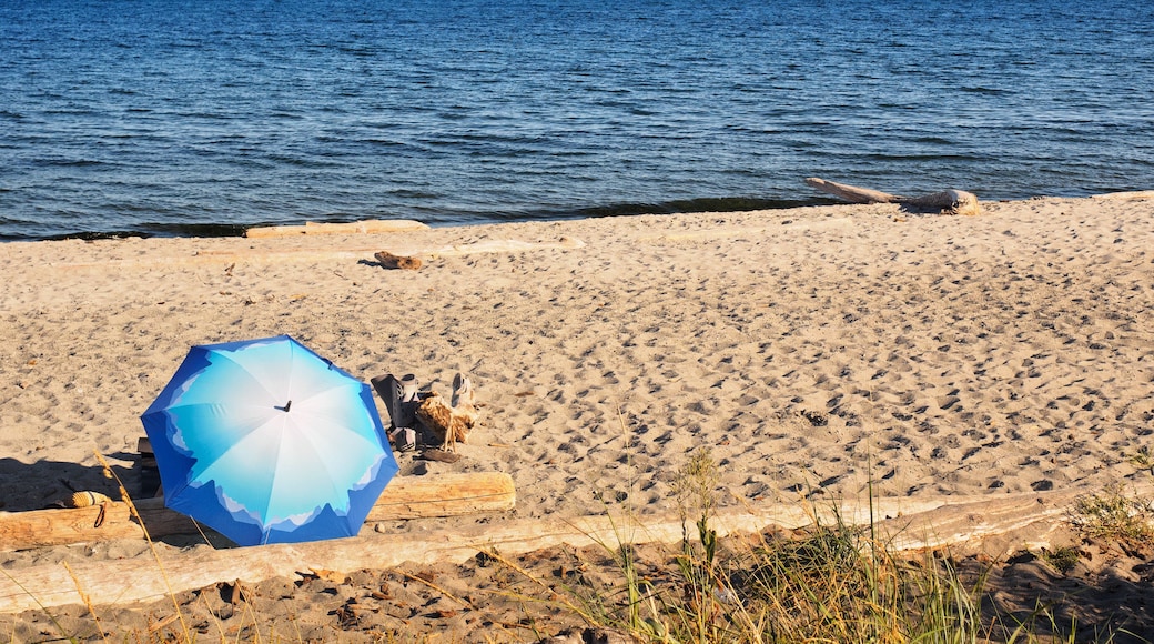 Umbrella on a sandy Willows beach, Victoria BC
