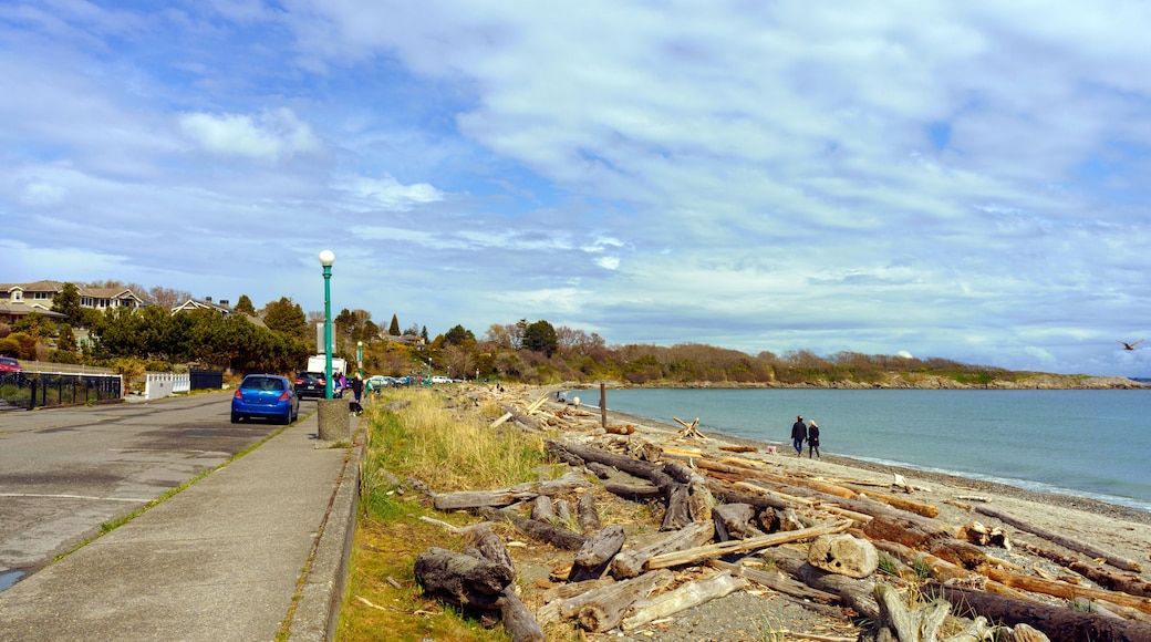 Driftwood on public beach at Oak Bay district of Victoria, BC, Canada