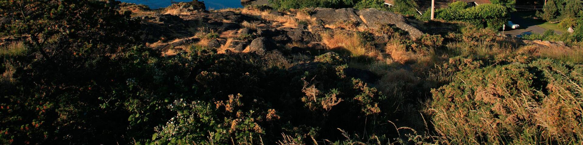 C51DMA Viewpoint looking towards suburbs of Victoria BC Canada. Fairfield. Sunny calm summer morning. Calm seas blue skies