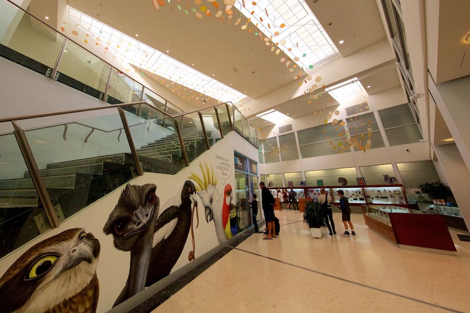 Interieur van een winkelcentrum met roltrappen, glazen balustrades en een muurschildering van vogels.