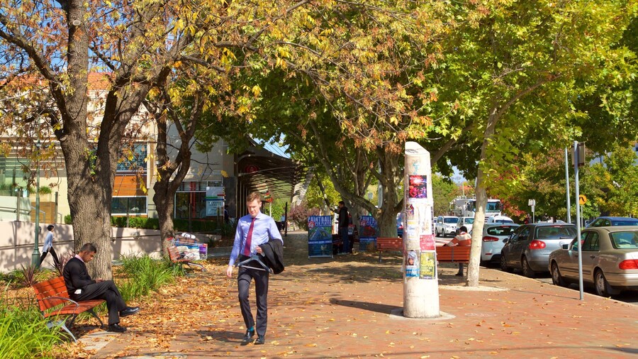 Manuka Shopping Centre which includes autumn leaves and street scenes