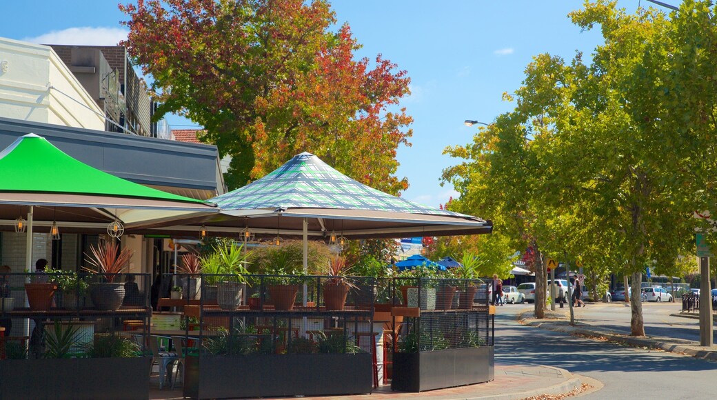 Manuka Shopping Centre og byder på efterårsblade