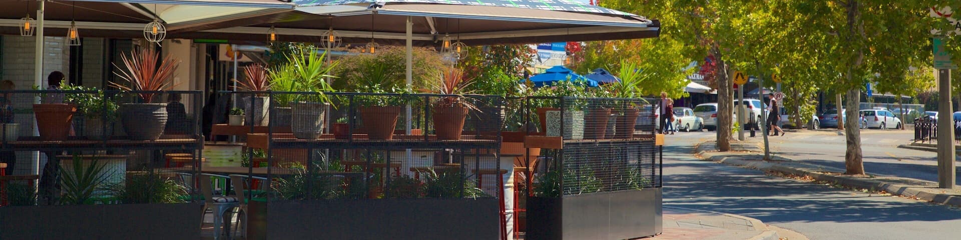 Manuka Shopping Centre which includes autumn leaves