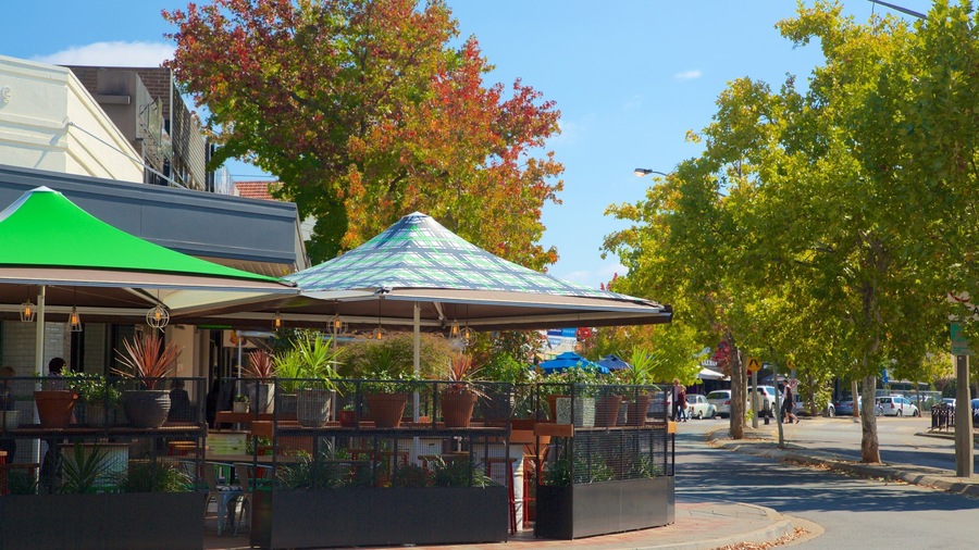 Manuka Shopping Centre which includes autumn leaves