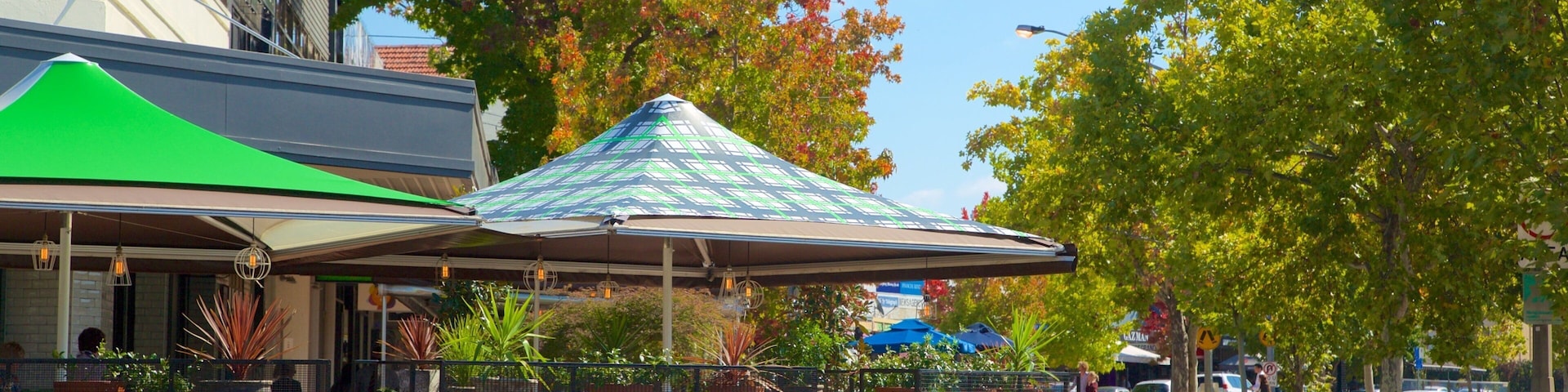 Manuka Shopping Centre which includes autumn leaves