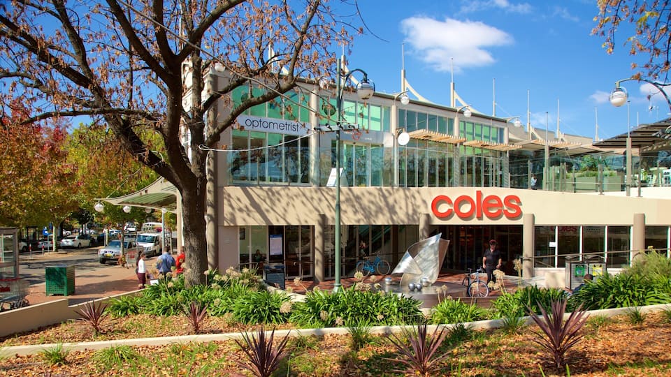 Manuka Shopping Centre which includes autumn leaves and signage