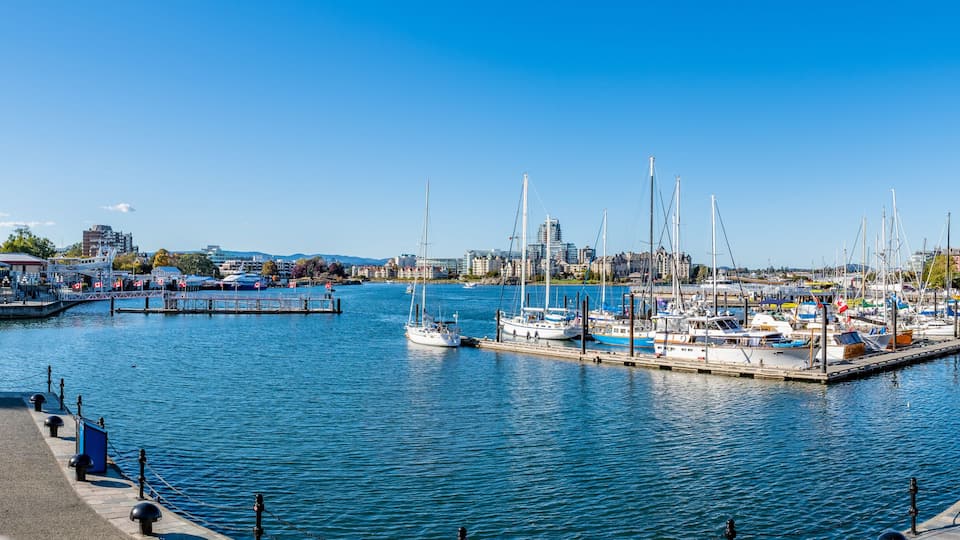 A marina with boats docked, a waterfront promenade, and buildings in the background.