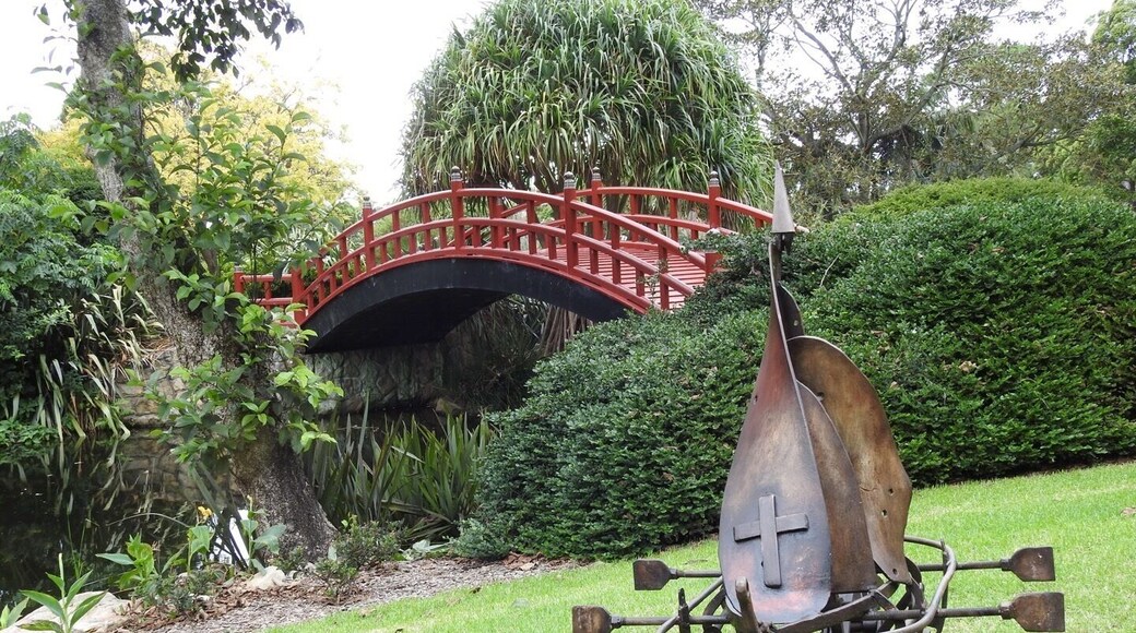 Photographic Class day trip to the beautiful Wollongong Botanical Gardens
Sculptures scattered around grounds and red Japanese bridge over water 🌿🌳🌺💐