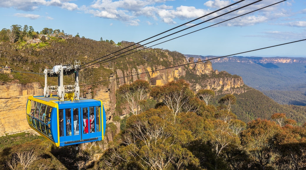 Katoomba Scenic World which includes a gorge or canyon, a gondola and landscape views