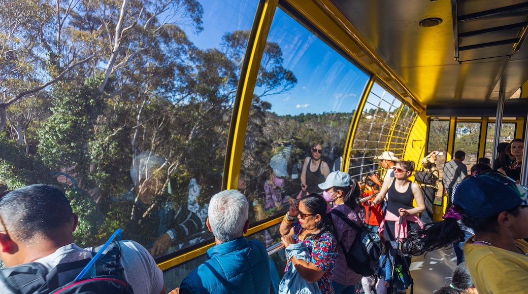 Katoomba Scenic World which includes interior views and a gondola as well as a small group of people
