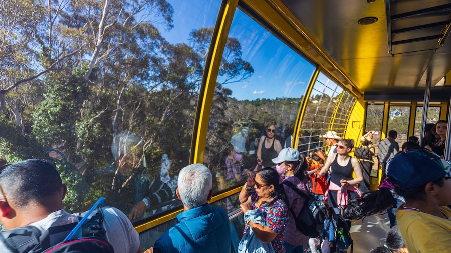 Katoomba Scenic World which includes interior views and a gondola as well as a small group of people