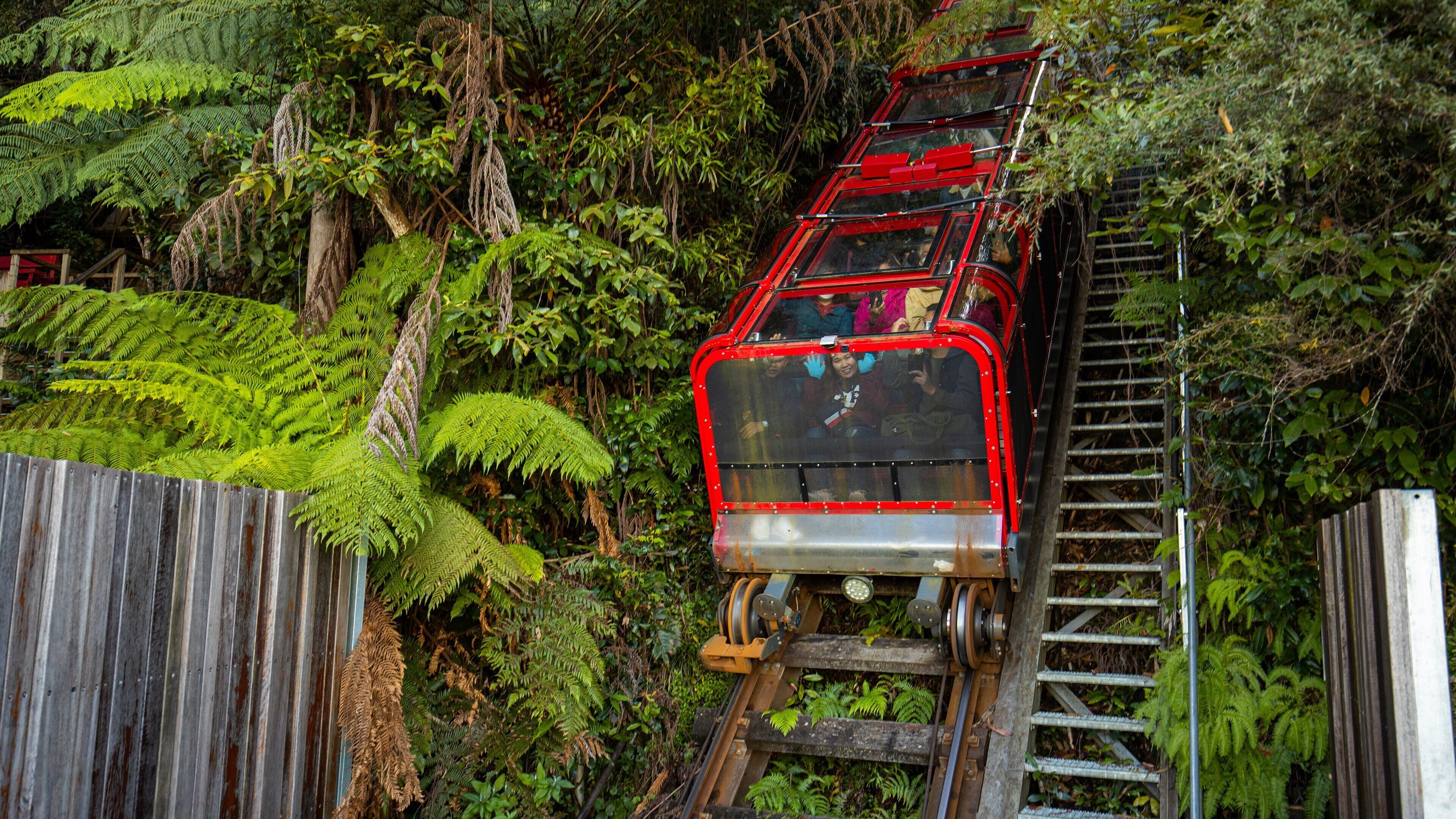 Katoomba Scenic World showing a gondola