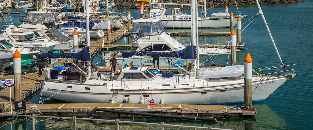 Coffs Harbour Marina showing a bay or harbor
