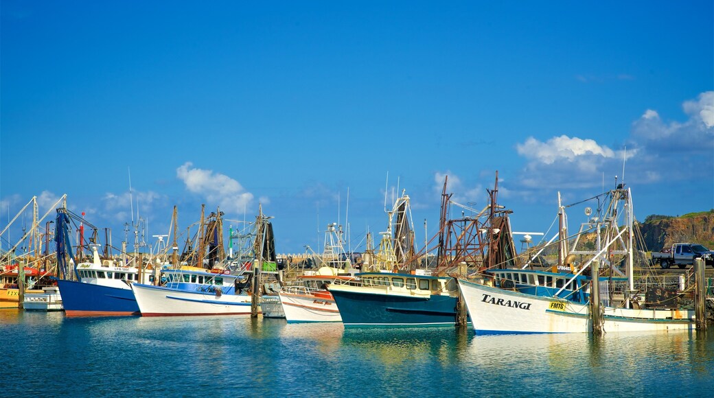 Marina de Coffs Harbour mettant en vedette marina et navigation