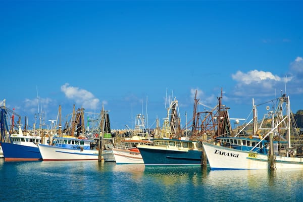 Coffs Harbour Marina which includes boating and a marina