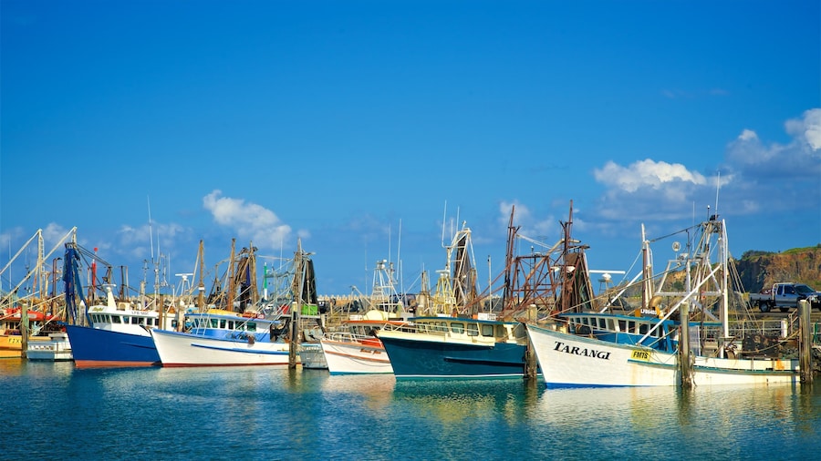 Coffs Harbour Marina which includes a marina and boating