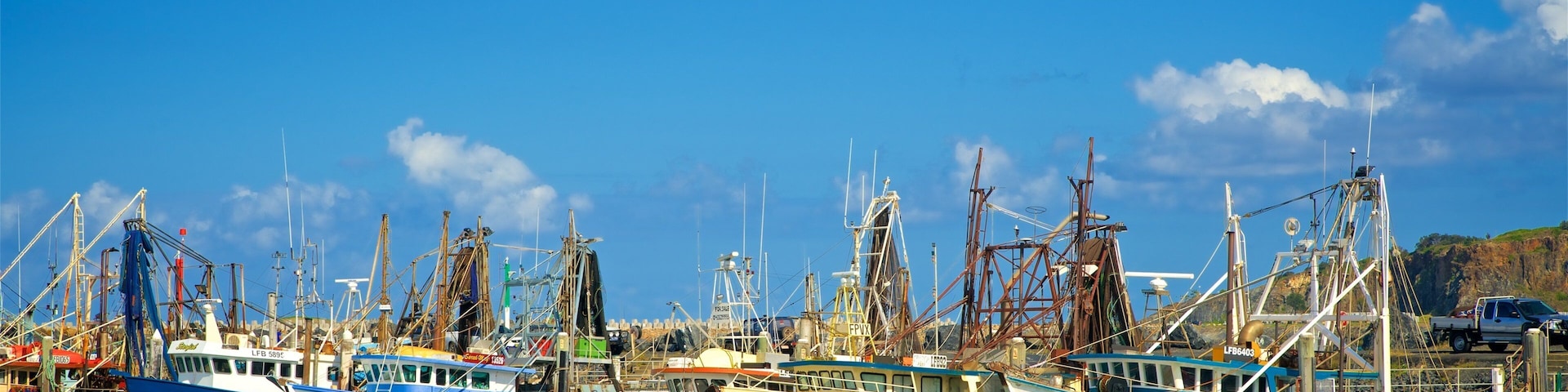 Coffs Harbour Marina showing a marina and boating